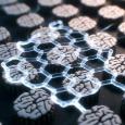 Лабораторные мини-мозги научились решать задачи: новый шаг в развитии органоидов