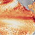 Вероятность Супер-Эль-Ниньо выросла до 81%: климатическая аномалия может сохраниться до 2027 года
