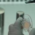 Колыбель на орбите: Китай начал первый в мире эксперимент с «искусственными эмбрионами» в космосе
