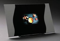 Специалисты Epson существенно увеличили долговечность панелей OLED