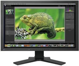 EIZO ColorEdge CG241W – монитор для профессиональной работы с фото и видео