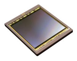 DALSA Unveils New 4-Megapixel High Quanta CCD Image Sensors