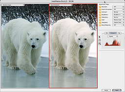 Intellihance Pro 4.2 поддерживает Adobe CS3
