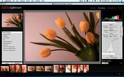 Adobe Lightroom станет альтернативой Aperture
