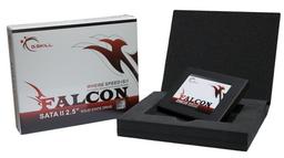 G.Skill использует в быстрых и емких SSD Falcon память типа MLC NAND