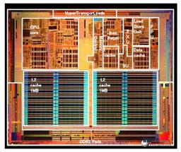 Фото ядра AMD K8 ревизии F