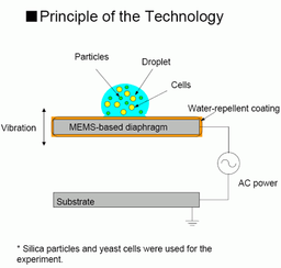 Toshiba Develops MEMS Based Technology For Injecting Nanoparticles In Cells