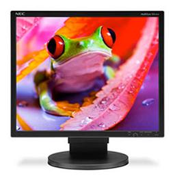 NEC MultiSync EA — лягушачьи 19 и 24 дюйма