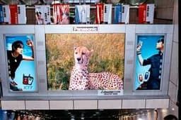 Panasonic создала 236-дюймовый дисплей