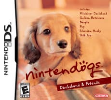 Европа получит розовые и синие Nintendo DS