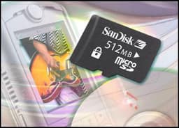 Новые слова SanDisk: TrustedFlash и grūvi