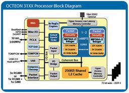Cavium Networks Launches Single and Dual Core OCTEON Network Processors