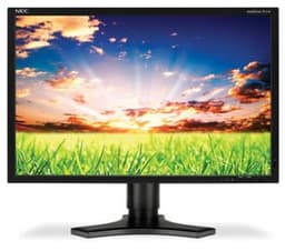 Монитор NEC MultiSync P221W: компромисс между бюджетной ценой и профессиональными возможностями
