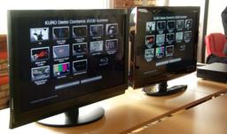 Pioneer осваивает рынок ЖК-телевизоров