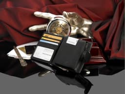 Prestigio: кошелек со встроенным HDD