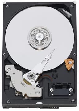 WD AV - «тихие, как мышь» мультимедийные винчестеры