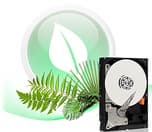 2-ТБ HDD в исполнении Western Digital — официально
