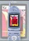 Дебют мобильных телефонов с LT Polysilicon TFT LCD экранами