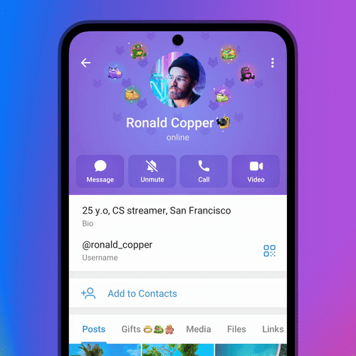 Изображение: Telegram