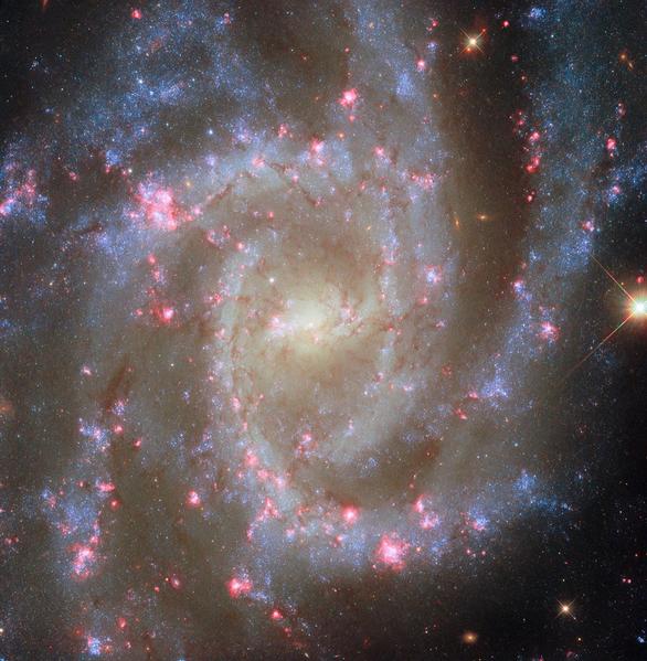Источник: ESA / Hubble & NASA, R. Chandar, J. Lee and the PHANGS-HST team