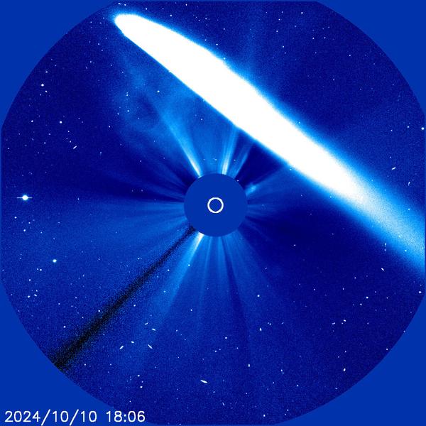 Хвост кометы C/2023 A3 Tsuchinshan-ATLAS попал в поле зрения солнечной обсерватории SOHO 10 октября 2024 года. Источник: ESA/