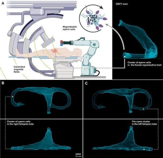 Источник: npj Robotics (2025). DOI: 10.1038/s44182-025-00044-1