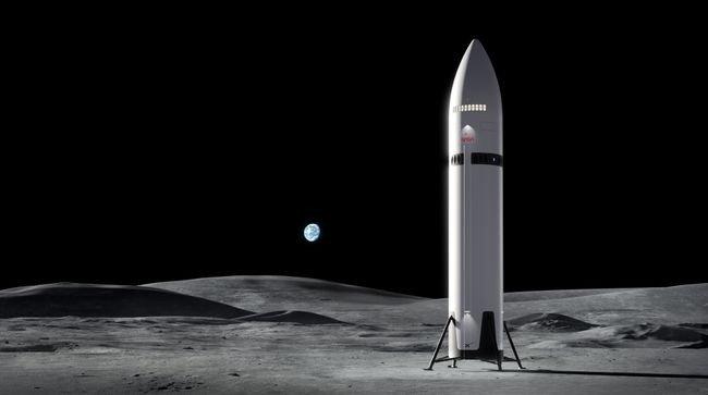 Изображение: SpaceX