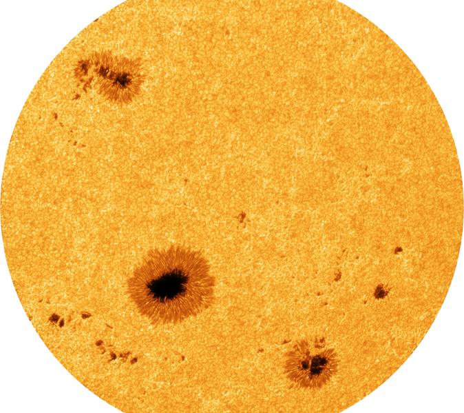 Фото: R. Kamlah et al. 2025