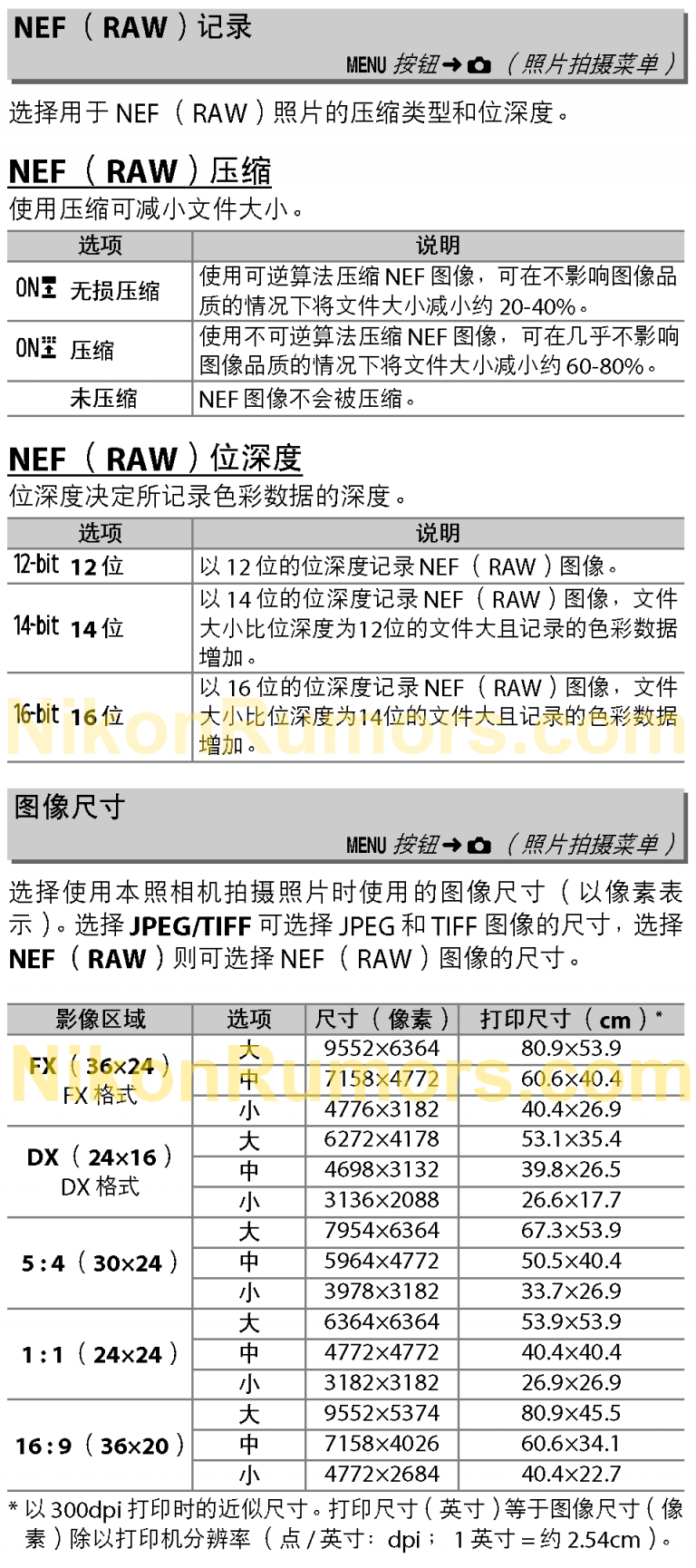 Утечка подтверждает, что разрешение камеры Nikon Z8 равно 60 Мп, фото 1
