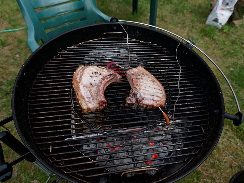 Дистанционные цифровые термометры для гриля Weber iGrill 2 и iGrill Mini:, фото 37