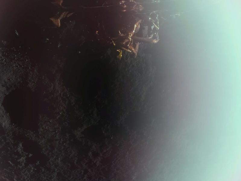 Фото: Firefly Aerospace
