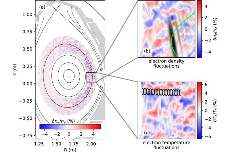 Источник: Nature Communications (2025). DOI: 10.1038/s41467-025-56997-2