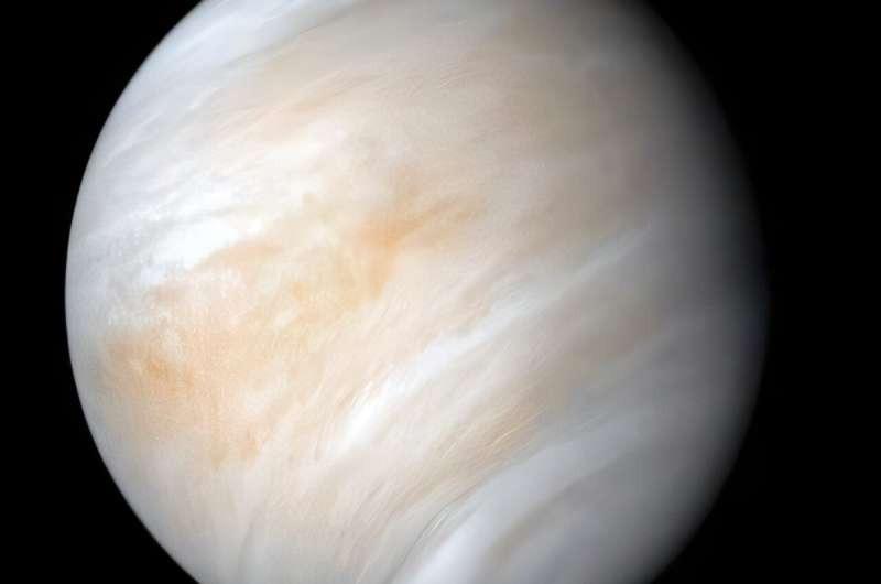 Фотография Венеры, сделанная космическим зондом NASA Mariner 10.Источник: NASA / JPL-Caltech