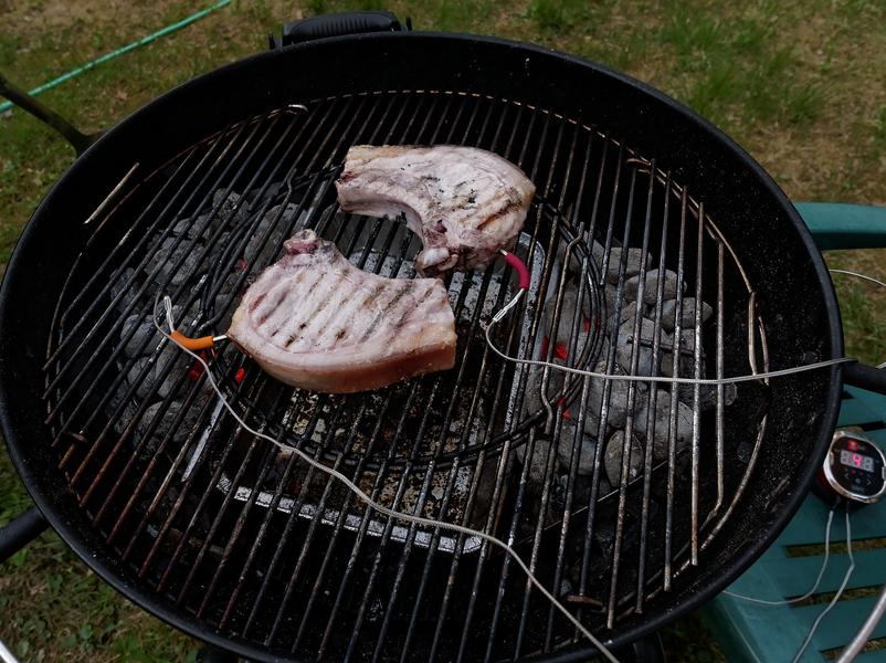Дистанционные цифровые термометры для гриля Weber iGrill 2 и iGrill Mini:, фото 36
