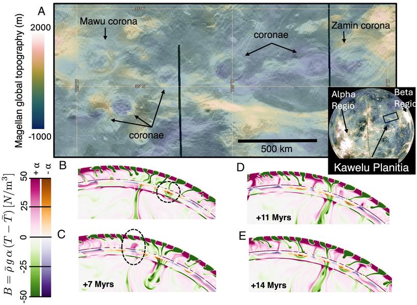 Пример механизмов формирования корон на Венере.Источник: Madeleine C. Kerr, Dave R. Stegman, Suzanne E., Andrea C. Adams
