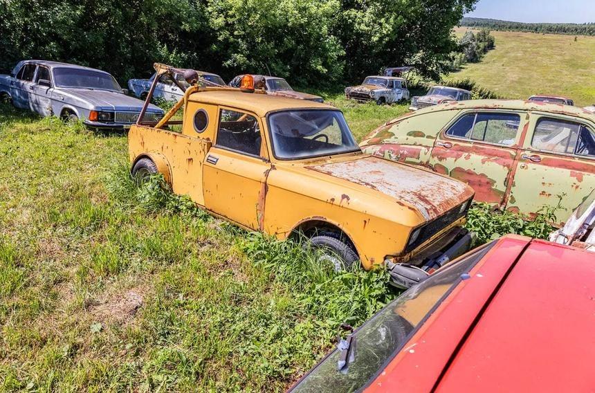 Фото Quto.ru / Светлана Парфенова
