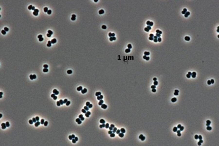 Источник: NASA / JPL-Caltech