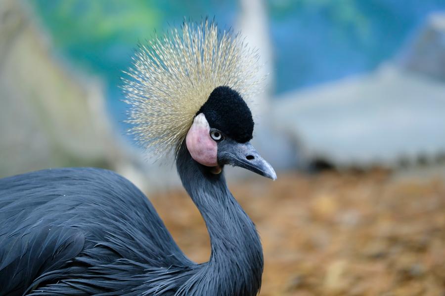 Fujinon XF 50-140mm F2.8 R LM OIS WR; фокусное расстояние 120 мм; F2,8; 1/12 c; ISO 200