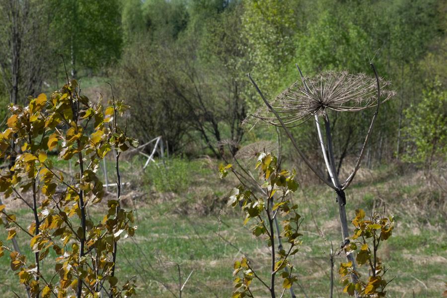 с профилем