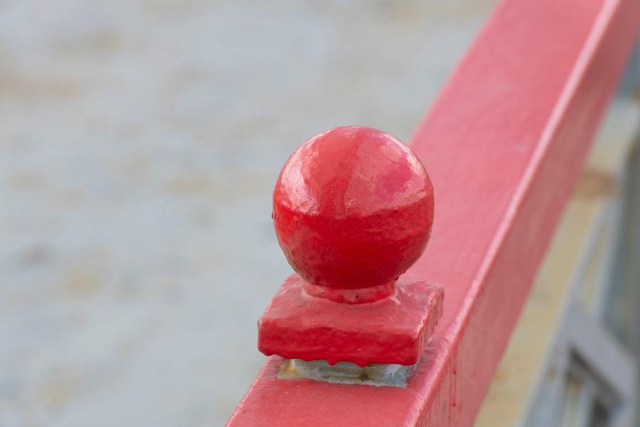 F8; 1/200 c; ISO 560