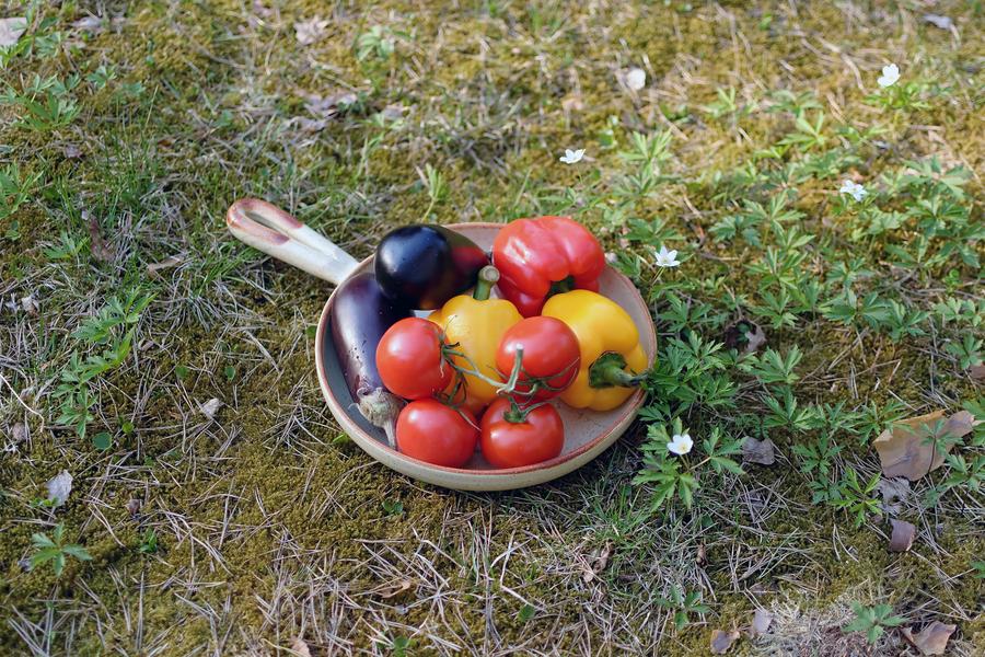 Армянская закуска из овощей-гриль