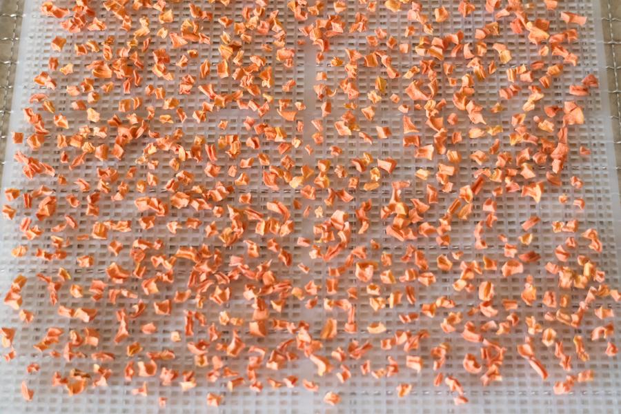 Дегидратор RawMid Dream Vitamin DDV-07:, фото 14