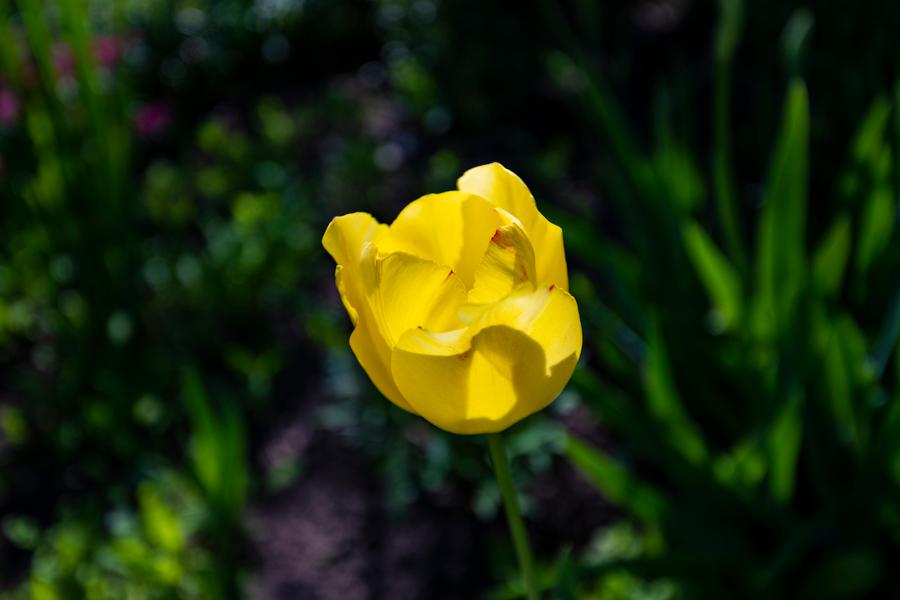 Фокусное расстояние 32 мм; F4; 1/1000 c; ISO 64