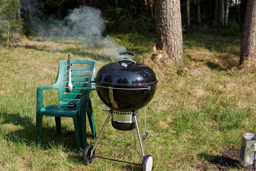 Дистанционные цифровые термометры для гриля Weber iGrill 2 и iGrill Mini:, фото 59