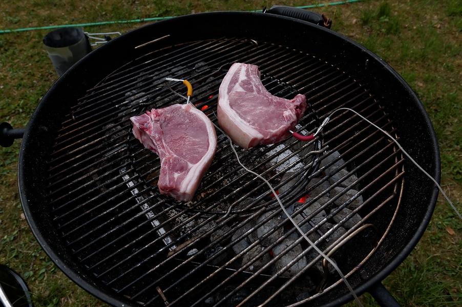 Дистанционные цифровые термометры для гриля Weber iGrill 2 и iGrill Mini:, фото 33
