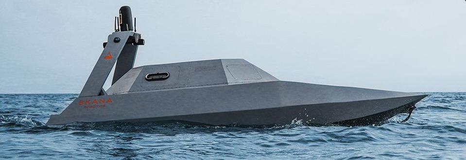 Источник: Skana Robotics