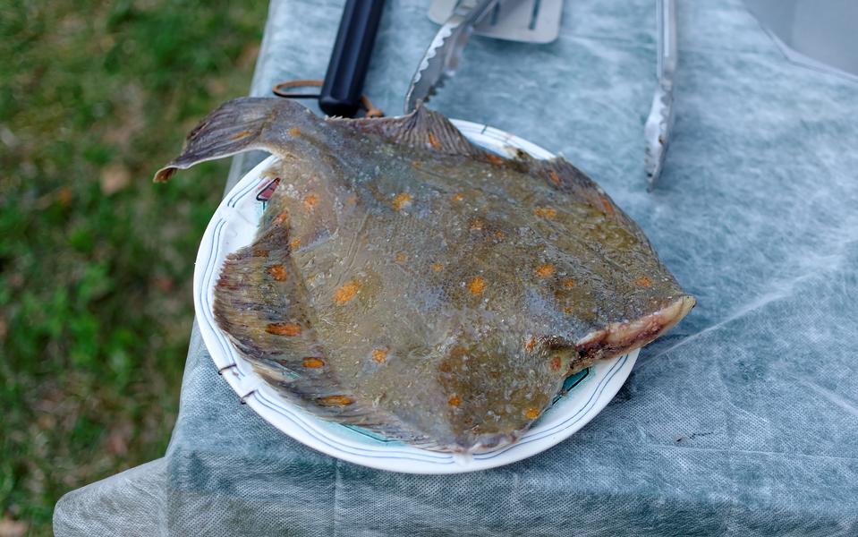 Камбала запеченная