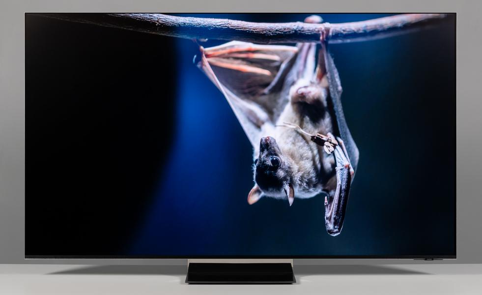 65-дюймовый 4K-телевизор Samsung Micro RGB R95H (MRE65R95HAUXPY):, фото 151