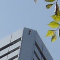 Lumix DMC-G1