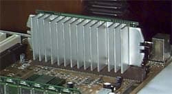 Celeron